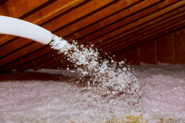 Best Cellulose Insulation in Calumet City, IL
