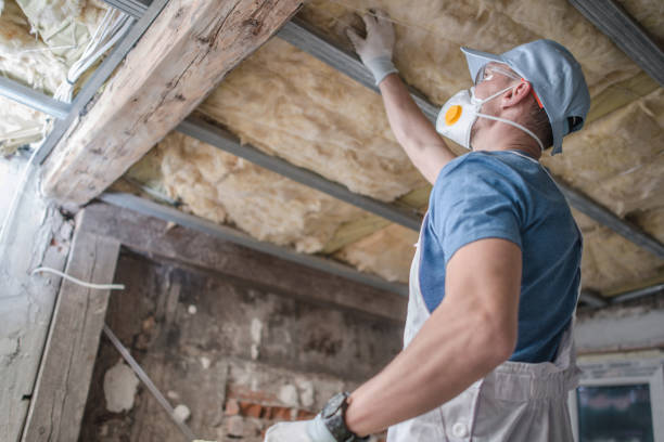 Best DIY Insulation Kits and Guidance in Calumet City, IL
