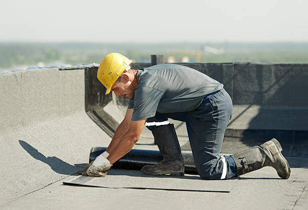 Professional Insulation Contractor in Calumet City, IL